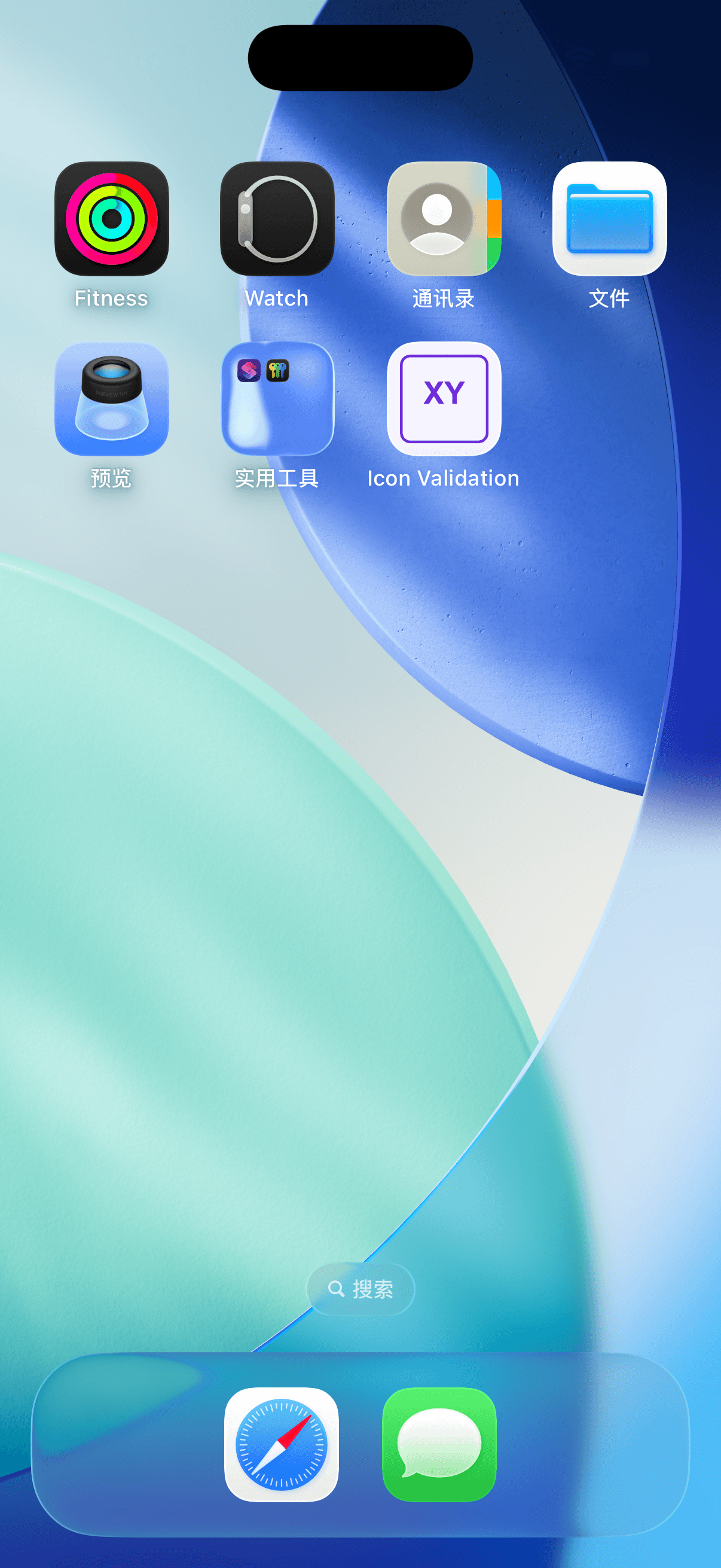 iPhone 模拟器主屏幕显示 Icon Validation 应用和原始紫色 XY 图标